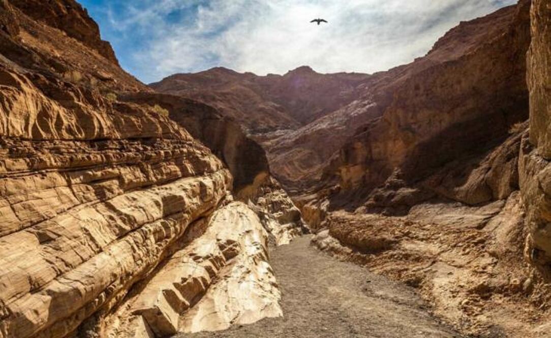Death Valley ha sido dañado por turistas en incontables ocasiones. (Foto: Istock)