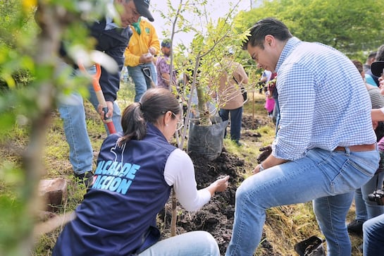 El municipio de Querétaro cierra 2025 con la plantación de más de 20 mil árboles