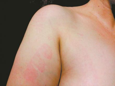 Cuerpos que se transforman