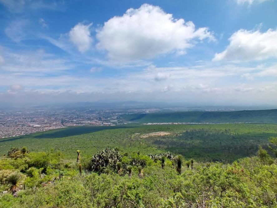 Durante 2015 la Comisión Nacional de Áreas Naturales Protegidas (Conanp) anunció su intención de dar marcha atrás al decreto de parque nacional a El Cimatario. (ARCHIVO)