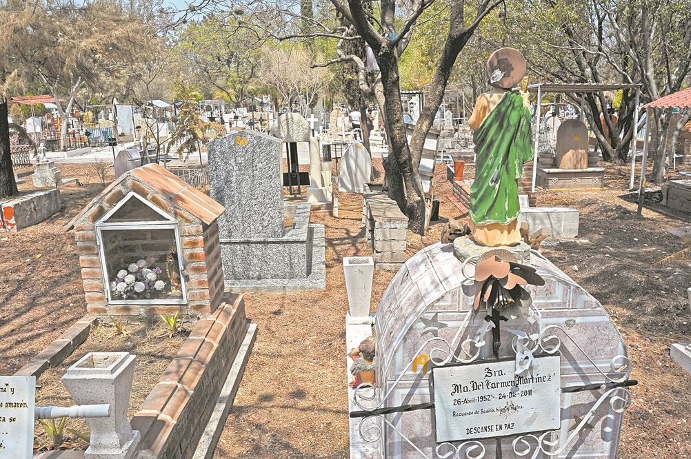 Foto: Fernando Camacho/Obture Press