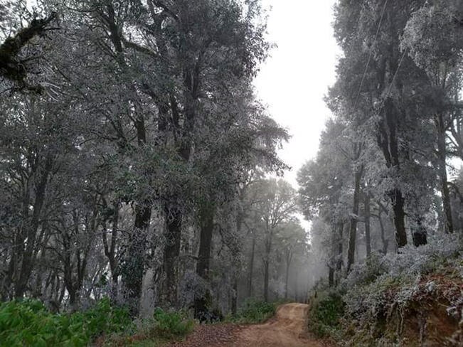 Foto: Tomada de Facebook