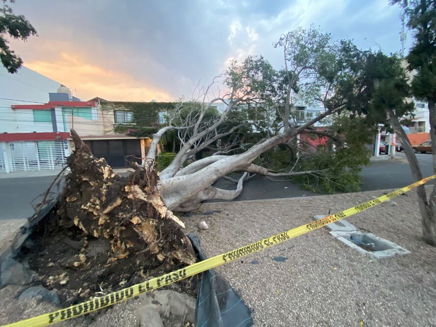 Fotos: Montserrat Márquez