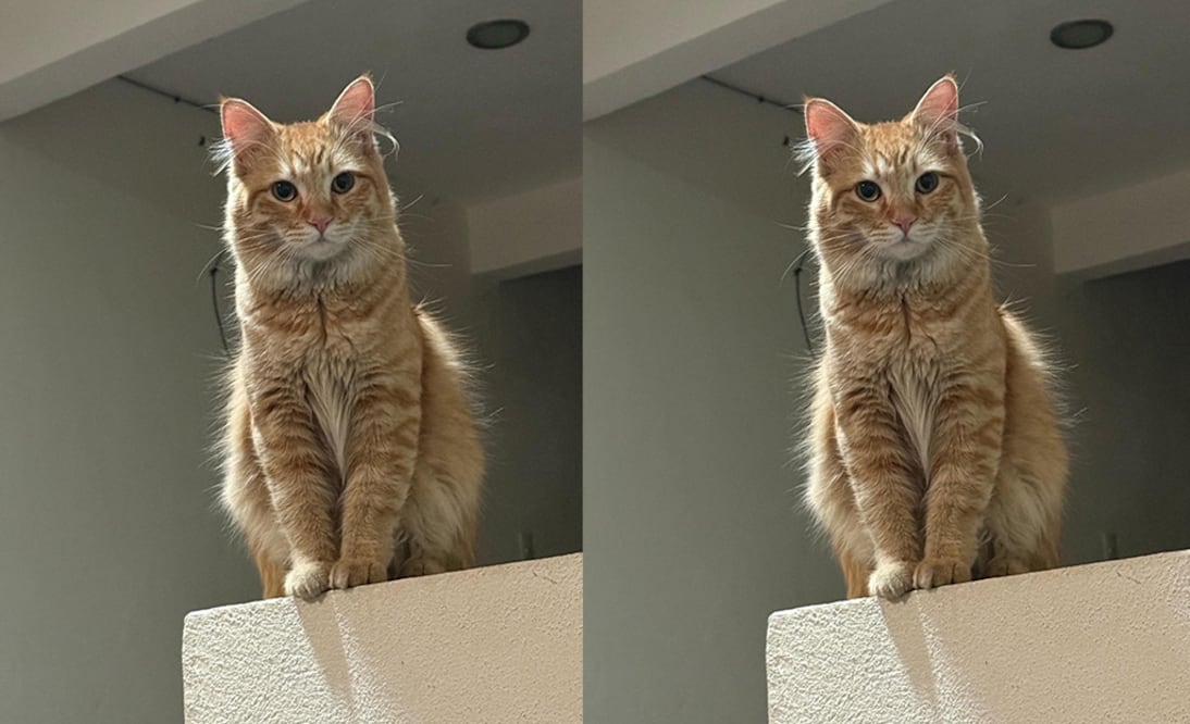 Foto: Captura de pantalla