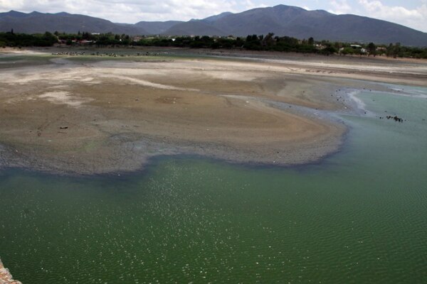 Sequía afectó a 90% del campo de SJR