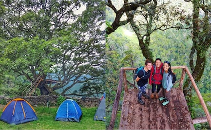 El Cedral: ¿Cómo llegar al paraje serrano en Pinal de Amoles, Querétaro?