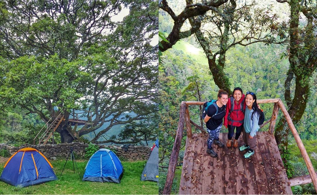 El Cedral: ¿Cómo llegar al paraje serrano en Pinal de Amoles, Querétaro?. Foto: FB, El Cedral Pinal de Amoles