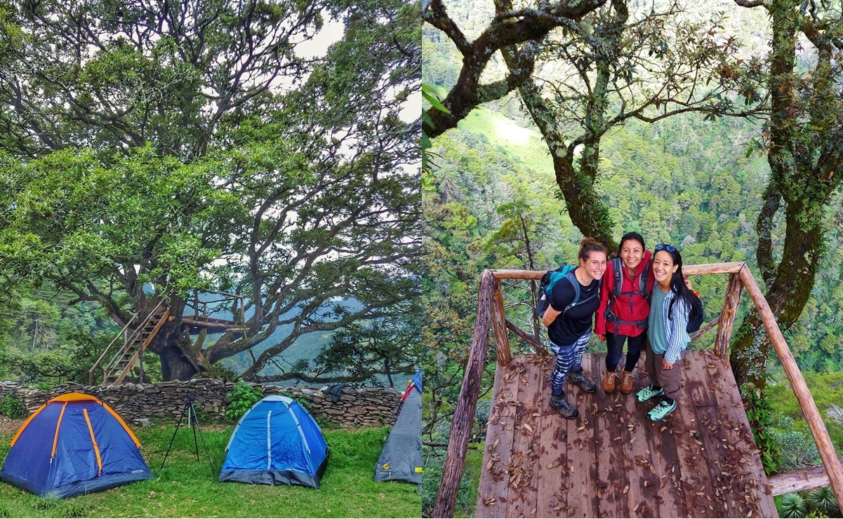El Cedral: ¿Cómo llegar al paraje serrano en Pinal de Amoles, Querétaro?