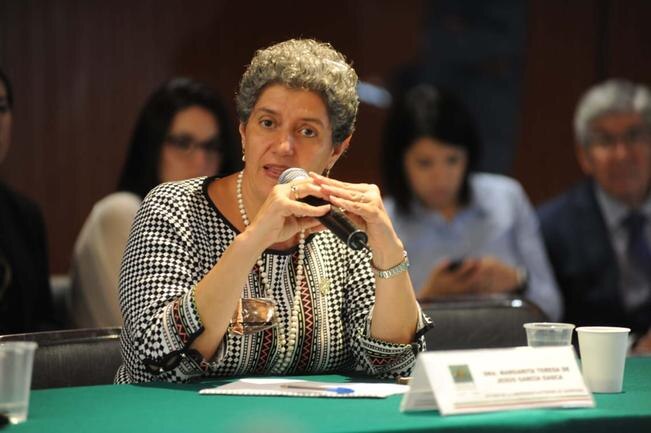 “Apremiante que autonomía quede garantizada en la ley”: rectora