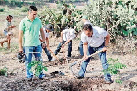 Afirman que sí hay trabajo pro ambiente
