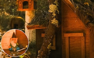 El bosque de los duendes en un Pueblo Mágico de Querétaro