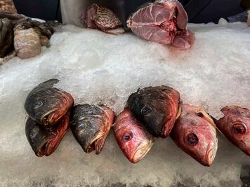 Aumenta en 60% el consumo de pescado