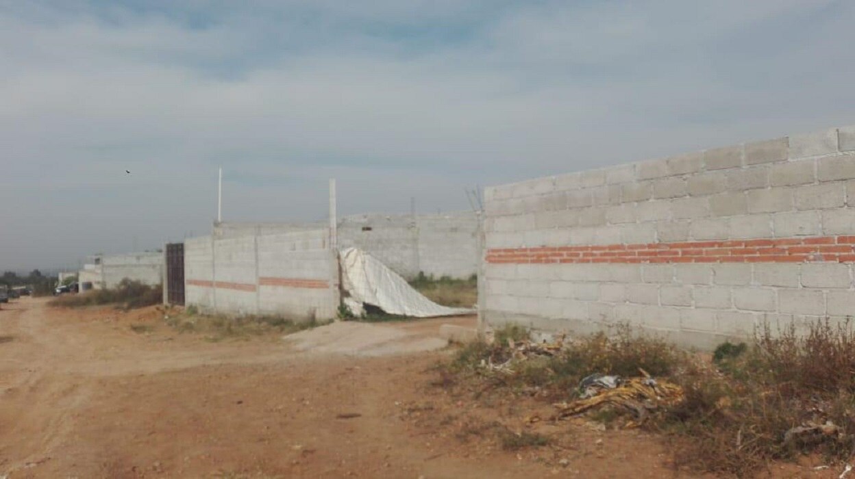 Foto: Luis Rodríguez