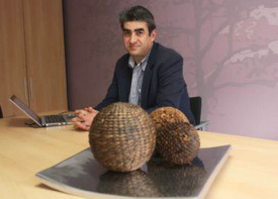 Sector franquicias voltea al exterior