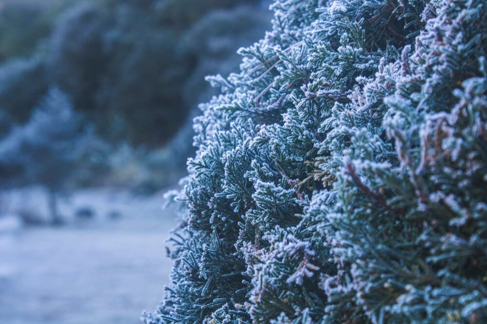 Foto: Facebook. San Joaquín Pueblo Mágico