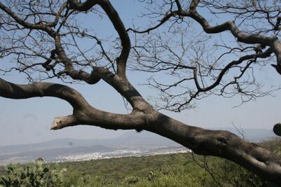 Piden que se explique cancelación 