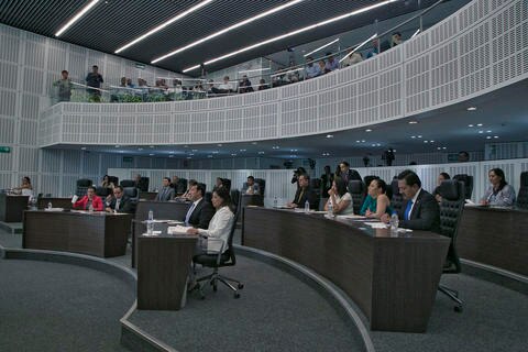 Cuesta 100 mil pesos informe del Congreso