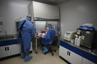 Salud y seguridad, las prioridades del presupuesto 2021