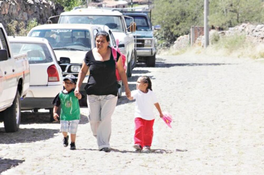 Programa seguro de vida