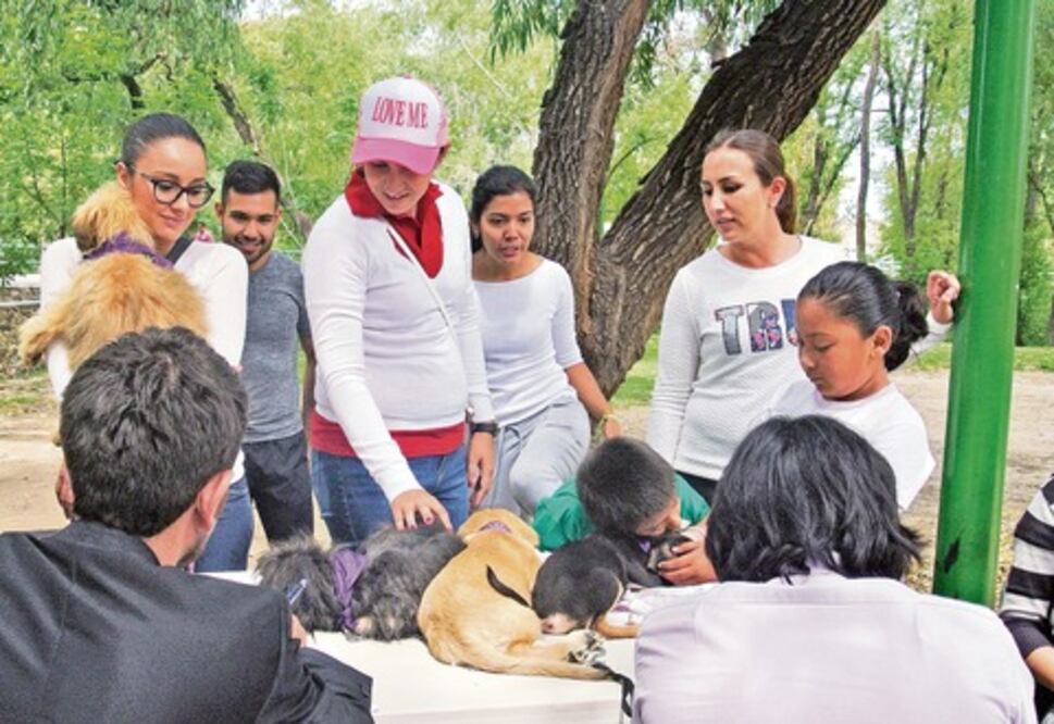 Protección animal, eje de plan de Vania Camacho