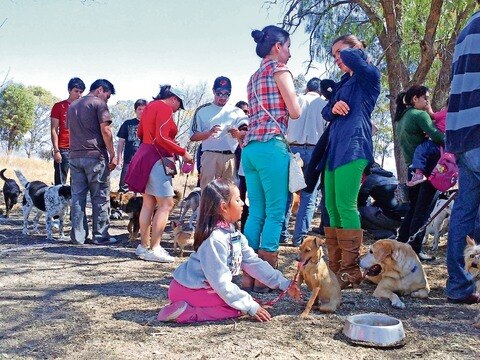 Impulsan cultura  de bienestar  animal