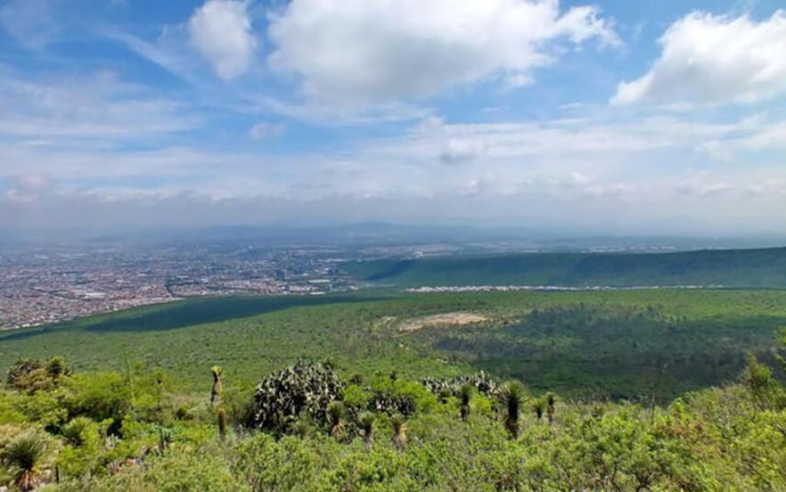 El municipio de Querétaro cuenta con 53 sellos de biodiversidad