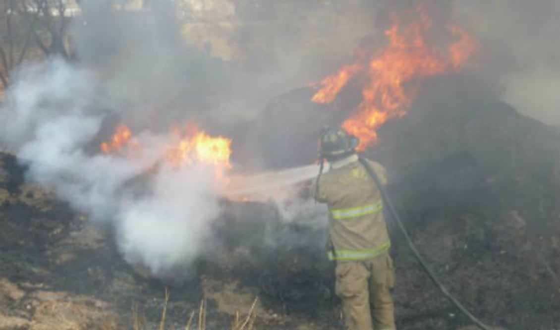 FOTO: Archivo El Universal