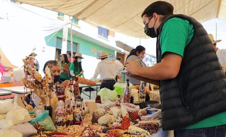 Arranca UAQ Programa de Trabajo Comunitario