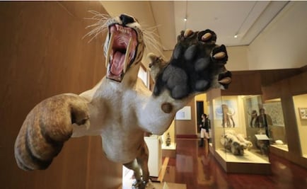 Entre ciencia y arte, 150 años de cuidar la Historia Natural