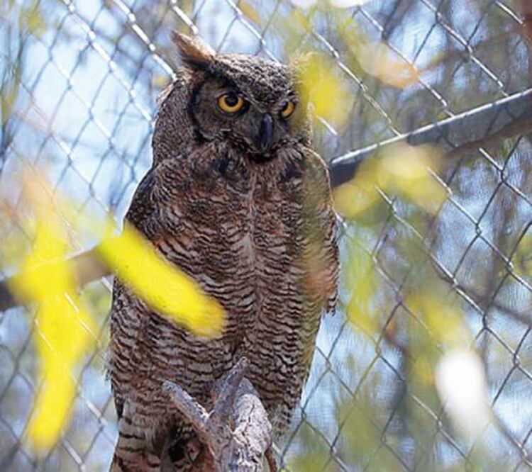 Un paraíso natural con dos mil hectáreas