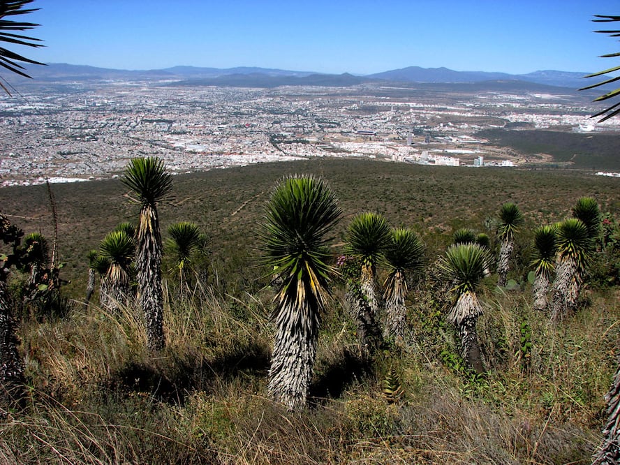 FOTO: Archivo El Universal