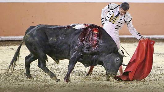 Adame cierra año