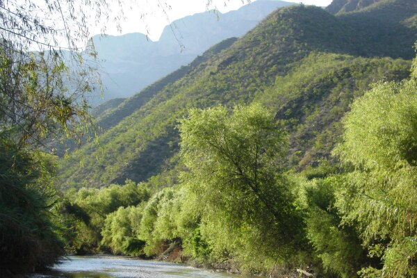 Determinará UAQ caudal ecológico de tres ríos