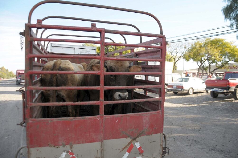 Foto: Archivo. El Universal