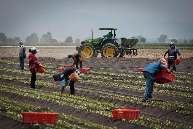 Prevé diputado daños a sector campesino en SJR
