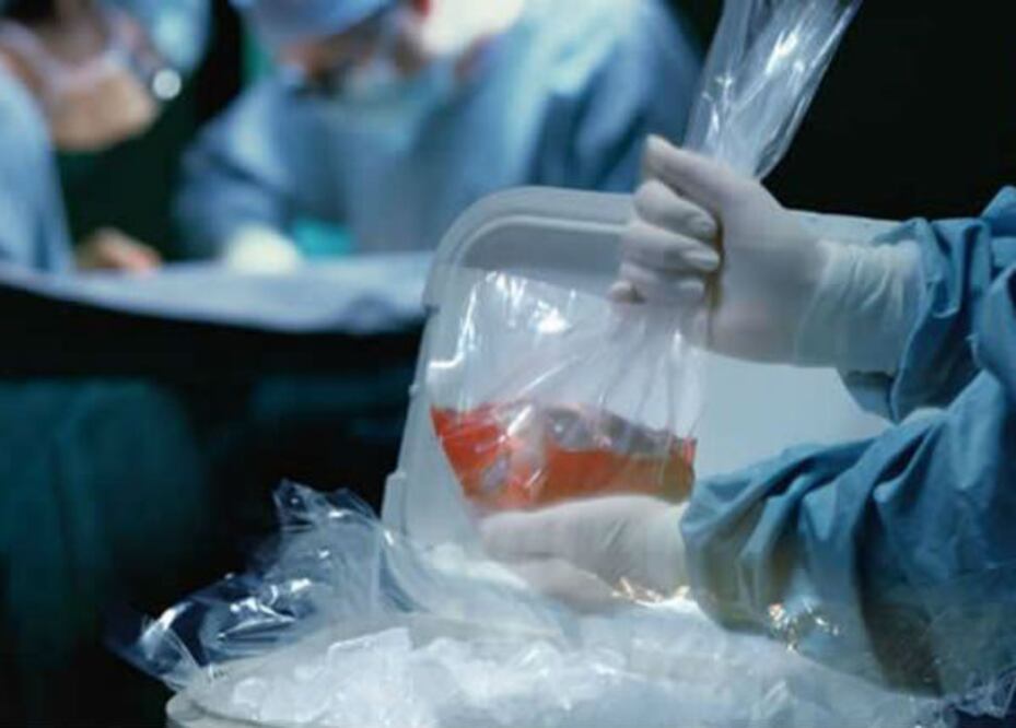 De 4 a 8 donadores de órganos al año