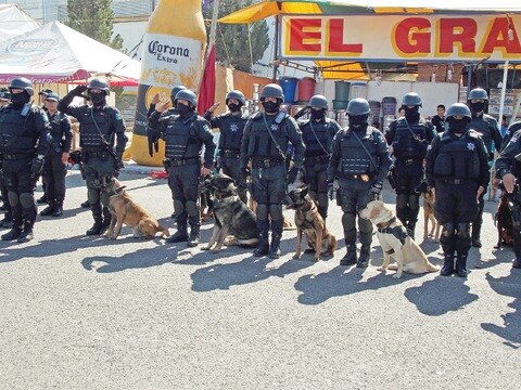 Van 245 detenciones en la feria ganadera