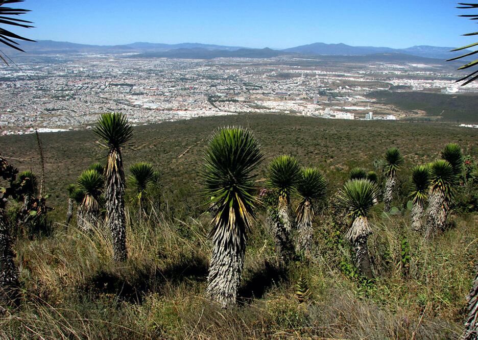 Foto: Archivo. El Universal