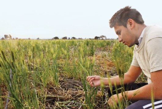 Recibirán apoyo productores 