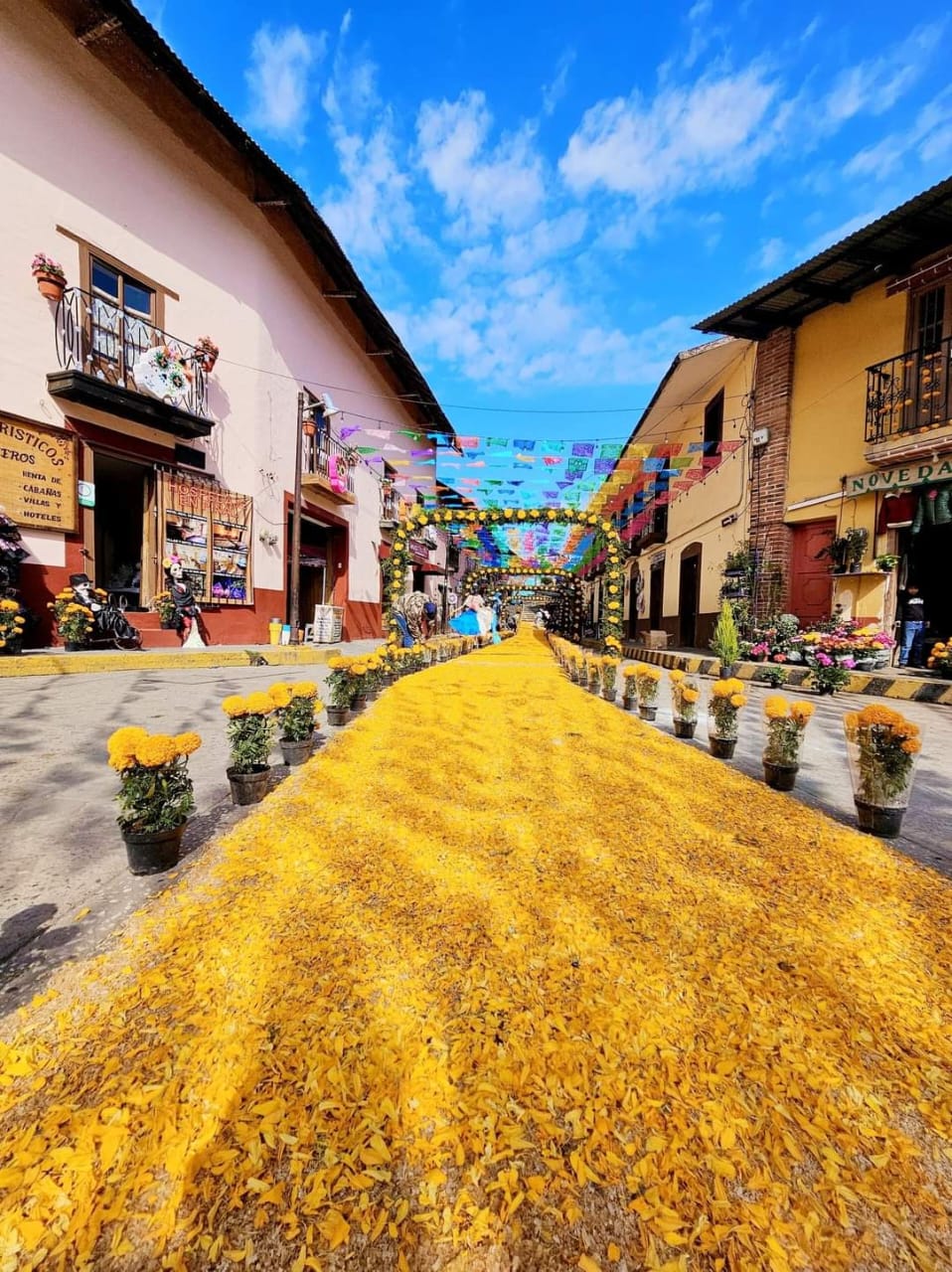 Camino de la Luz en Pinal de Amoles. Foto:  Instagram xploratour
y pioquintogg