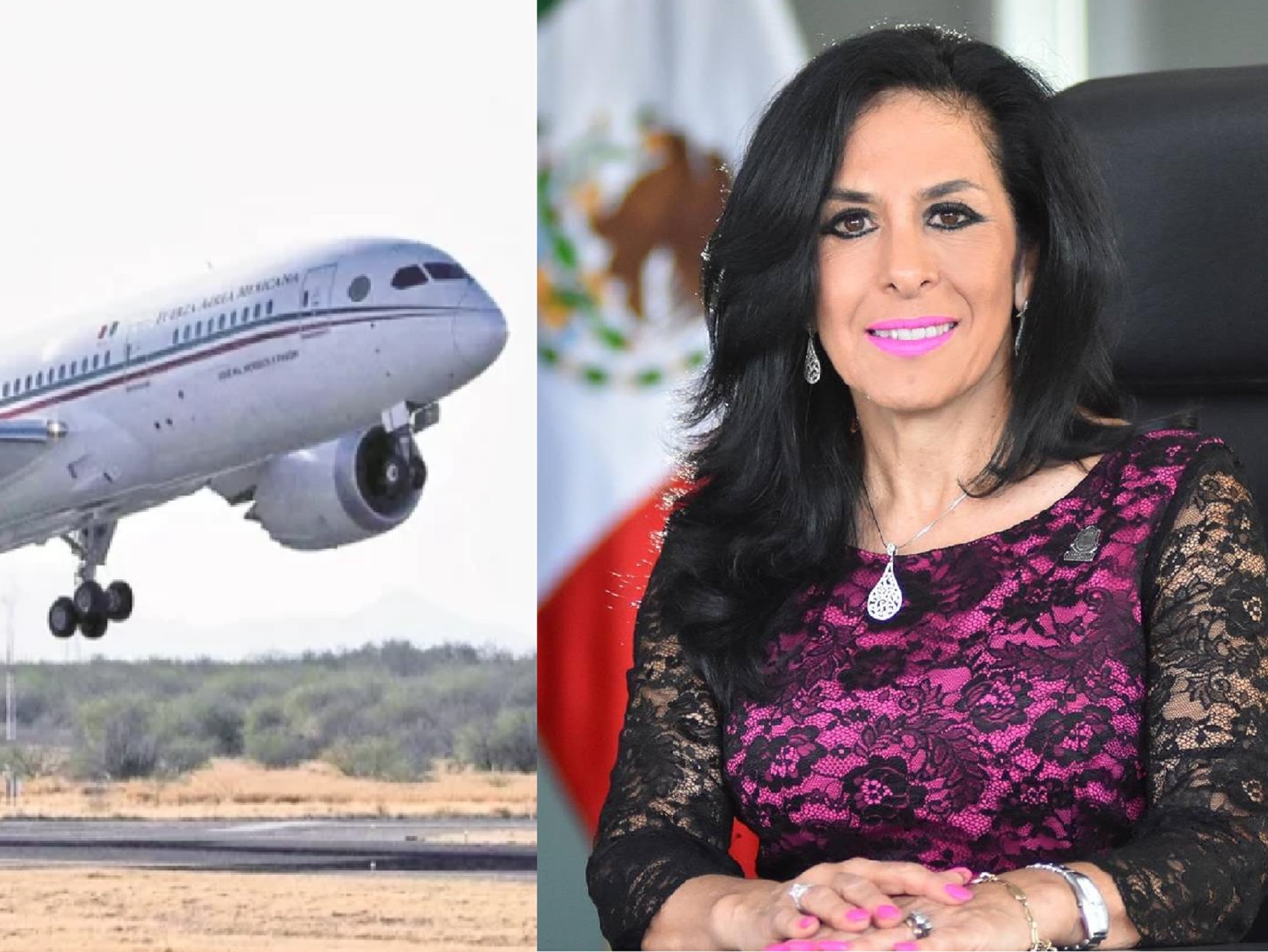 "Infantil, actitud del PAN por rifa del avión": diputada de Morena 