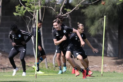 Contra Tigres, juego inteligente