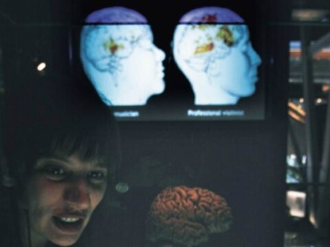 Presentan resultados de Semana del Cerebro