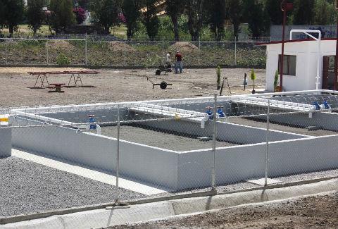 Denuncian malos olores en plantas