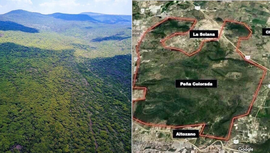 Tras 20 años, Querétaro por fin podría tener un pulmón verde en su zona metropolitana 
