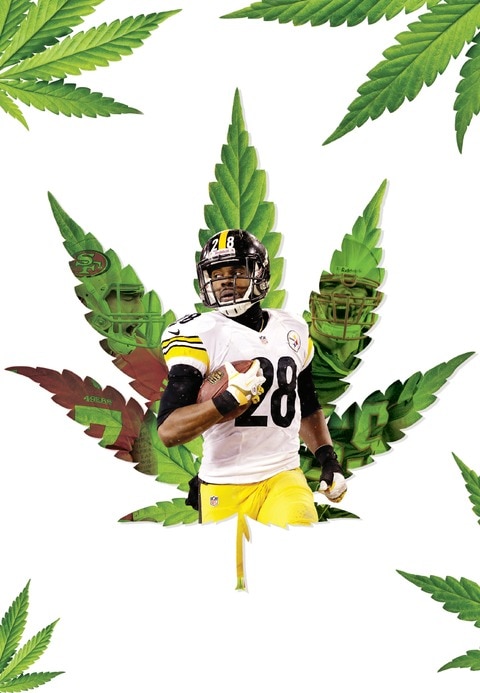 Mariguana, común en la NFL