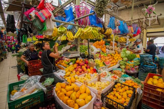 Elier García aseguró que los precios bajos a los que se importan las manzanas no se reflejan en menores precios para el consumidor final, porque los intermediarios venden a los mismos costos.