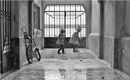 ROMA buscará abrir su año en los Globos de Oro