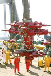 Positivo, modificar pensiones de paraestatales, dice Amafore