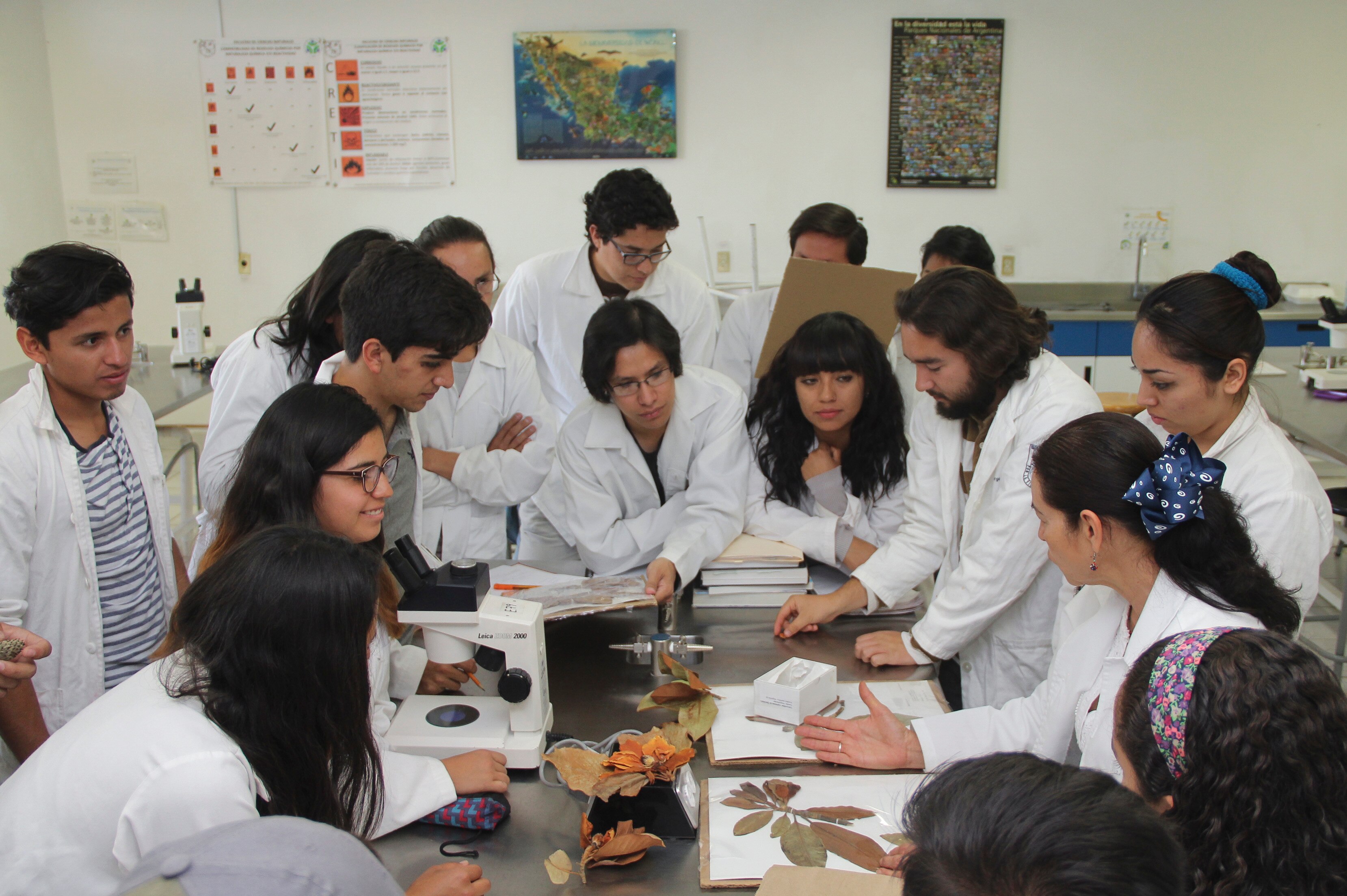 Foto: Archivo, El Universal